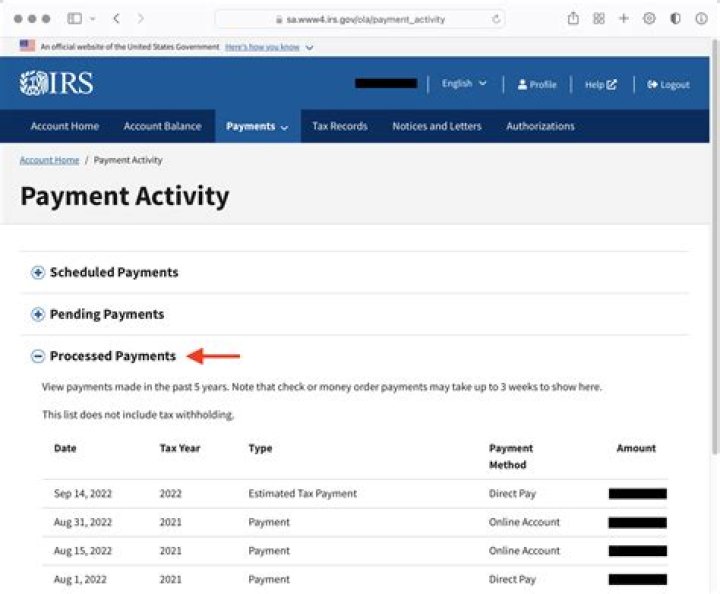 What happens if my IRS check is not credited?