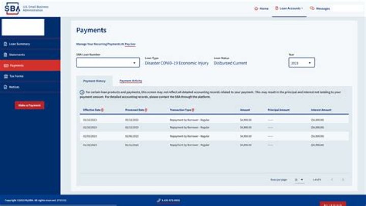 What happens if my SBA loan is denied?