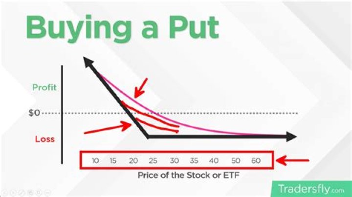 What happens if you buy a put and the stock goes up?