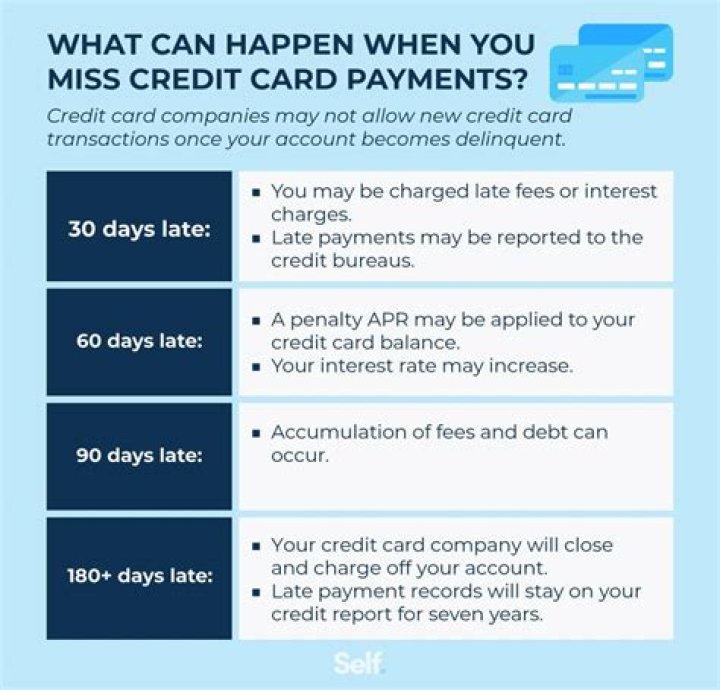 What happens if you never pay back PayPal Credit?