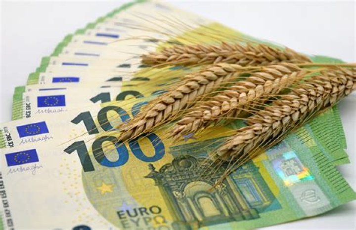 What if I entered the wrong routing number?