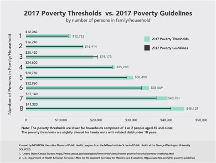 What income is considered poverty level in 2020?