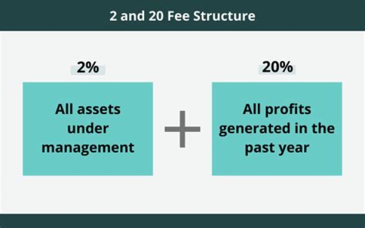 What is a 2 and 20 fee structure?