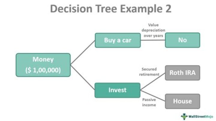 What is a decision tree explain with example?