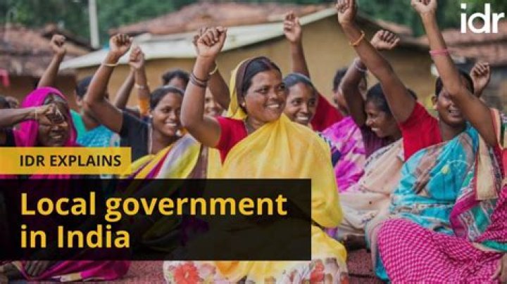 What is a fee basis local government official?