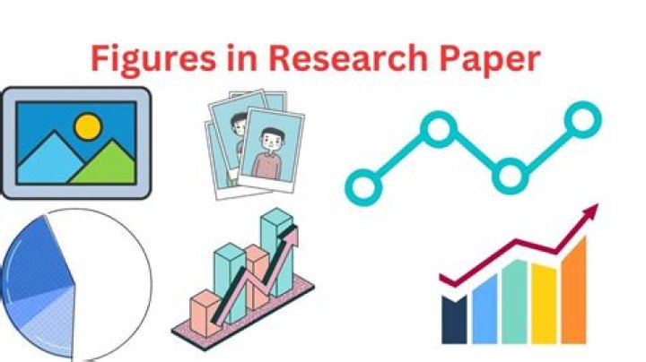 What is a figure in a dissertation?