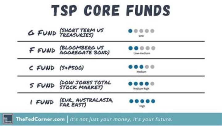What is a good amount to put into TSP?