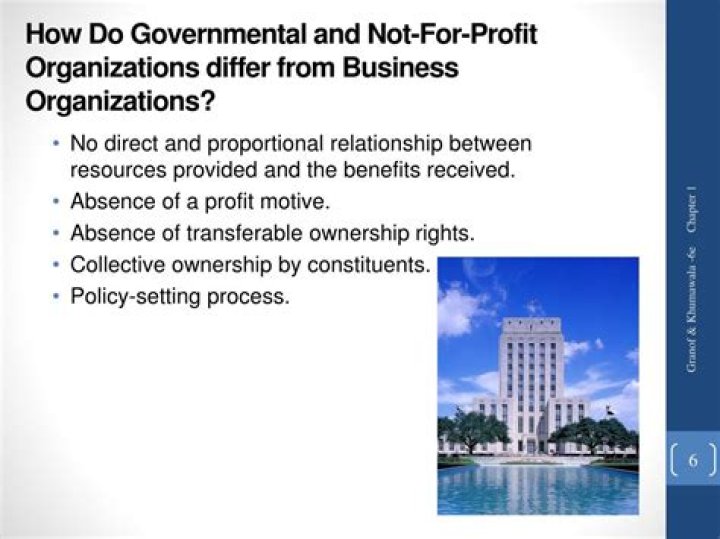 What is a governmental not-for-profit organization?