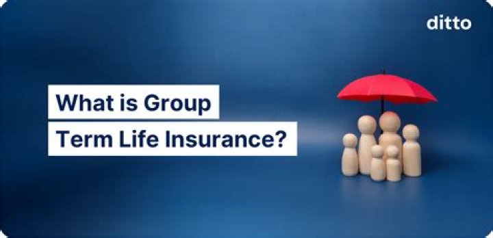 What is a group term life insurance?