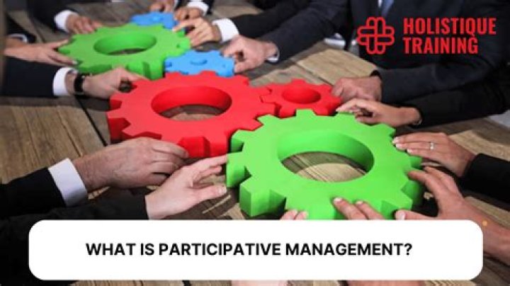 What is a participative management system?