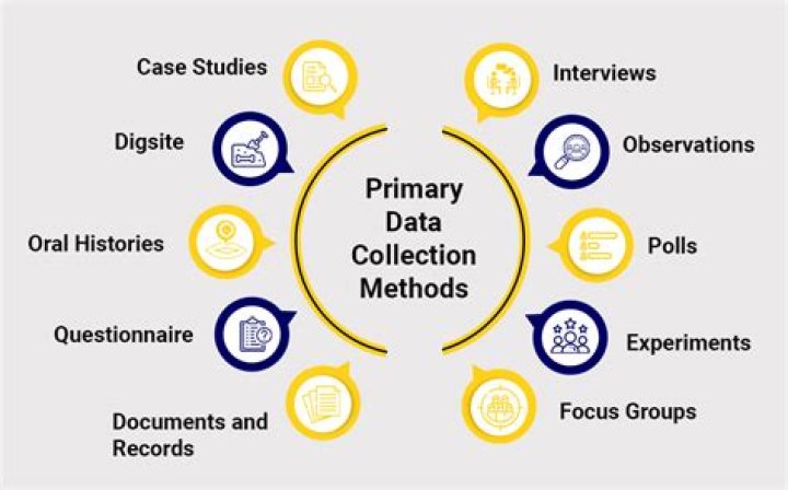 What is a primary data in research?
