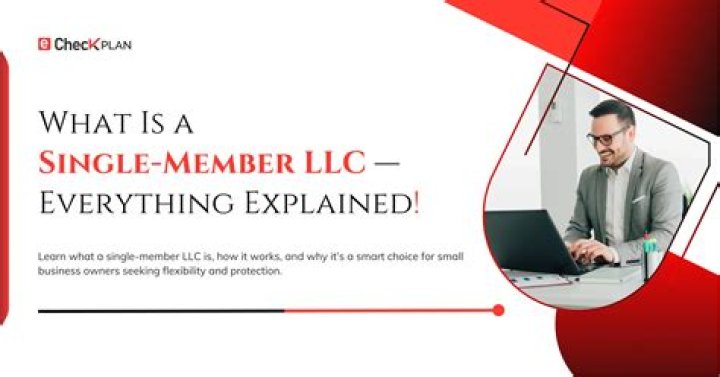 What is a single member limited liability company?