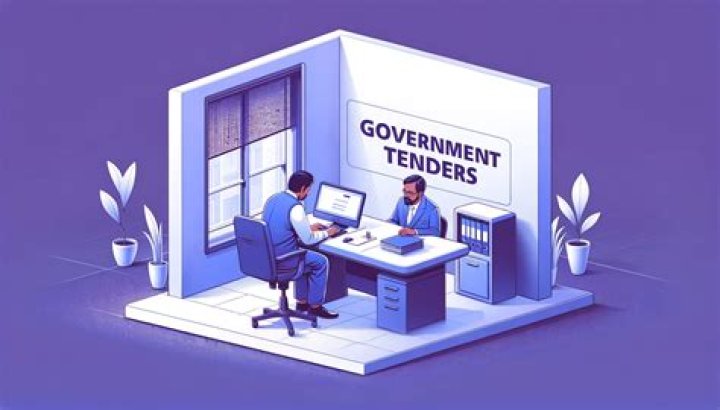 What is a tender in government?