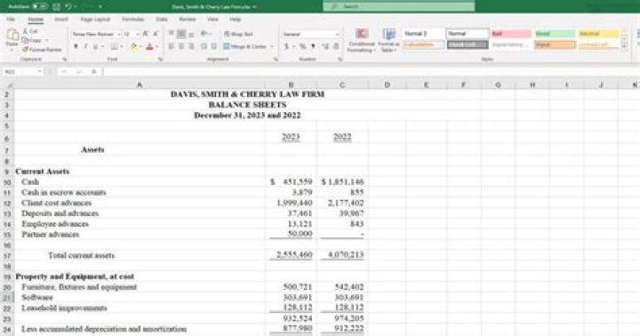 What is a transaction balance sheet?