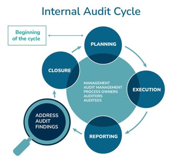 What is AAS in auditing?