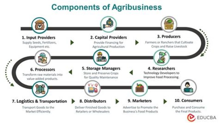 What is agribusiness and examples?