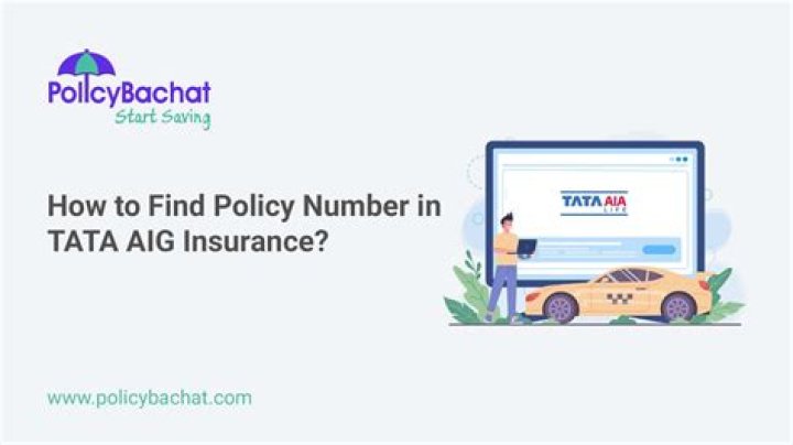 What is an AIG number?