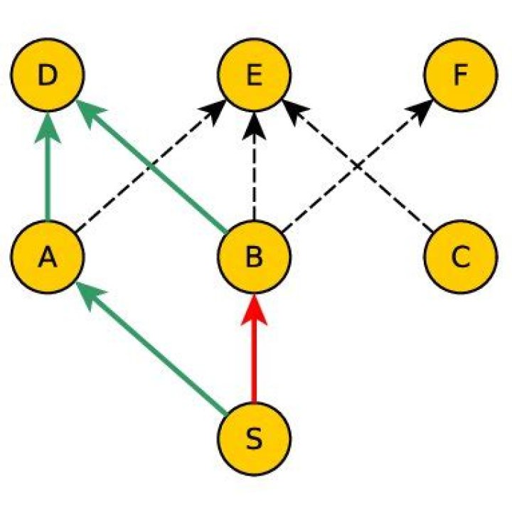 What is an alternate parent?