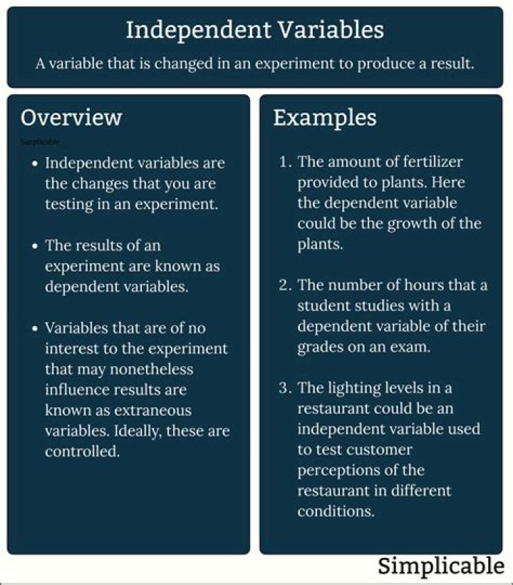 What is an independent variable in a research paper?