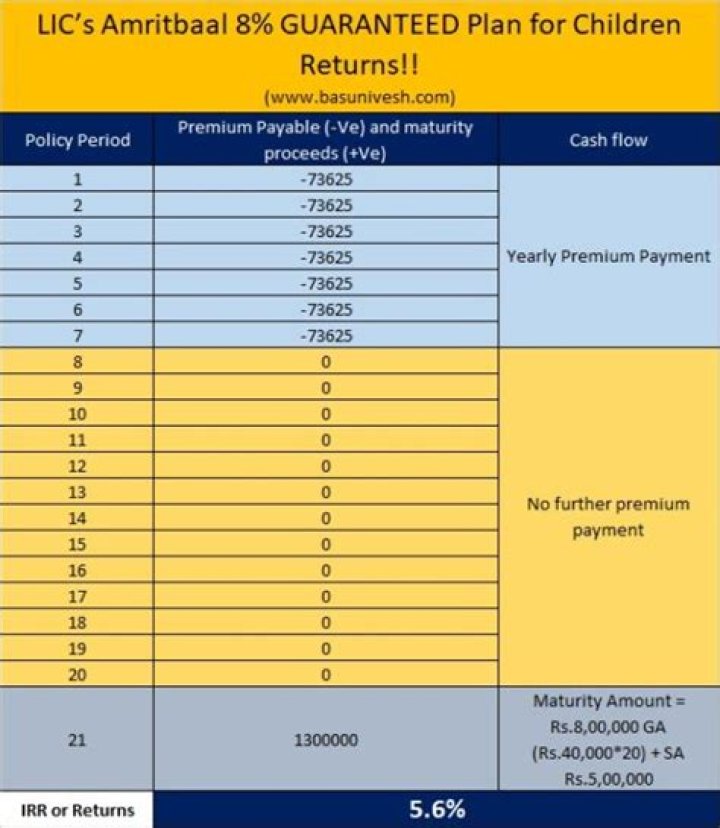 What is capital guaranteed plan?