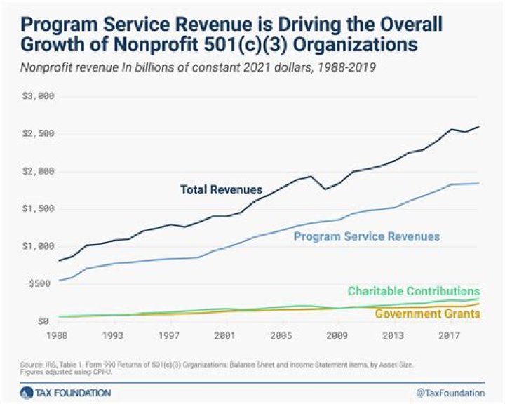 What is considered program service revenue?