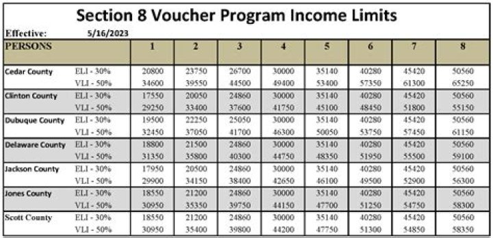 What is counted as income for Section 8?