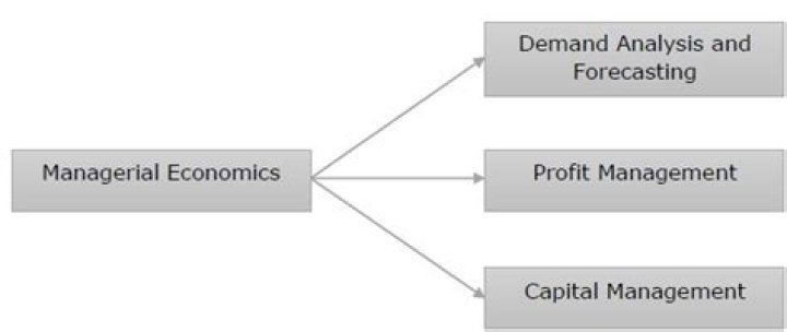 What is demand estimation in managerial economics?