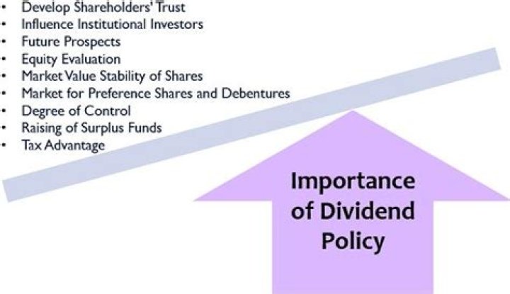 What is dividend policy explain its importance?