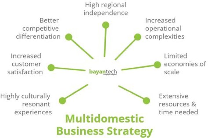 What is domestic business strategy?