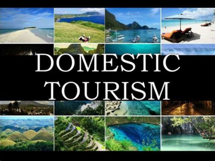What is domestic tourism and how important it is in a country?