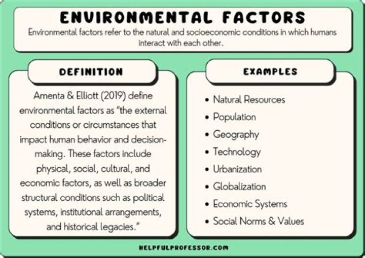What is environmental influence in decision making?