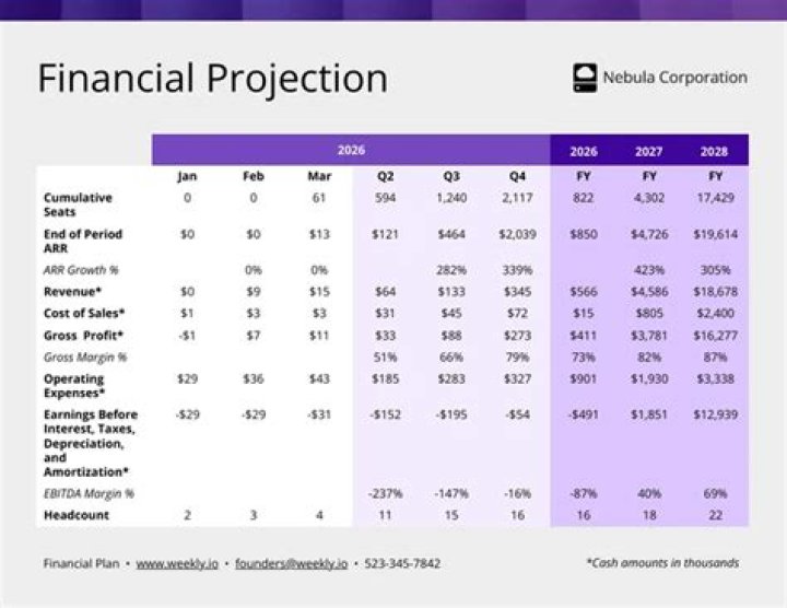 What is financial forecasting and projections?