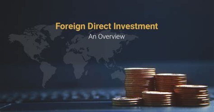 What is foreign direct investment index?