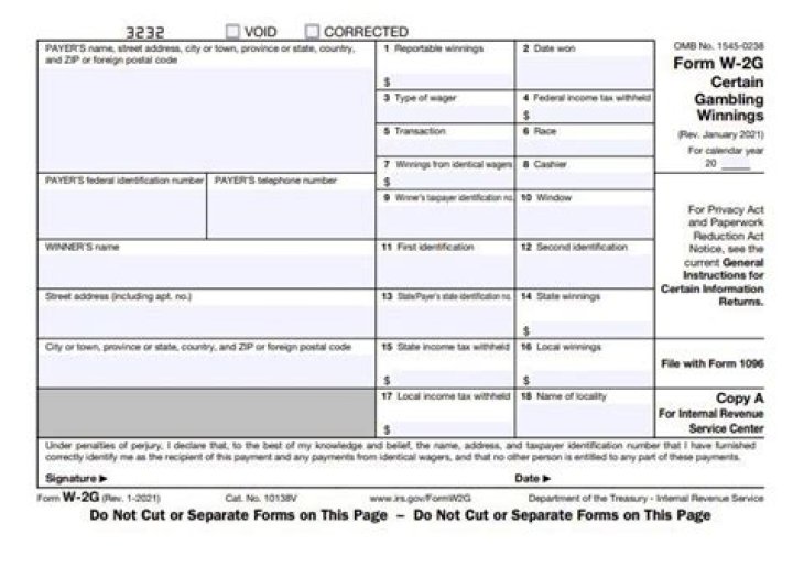 What is Form W-2 G?