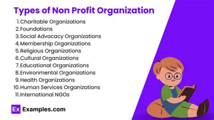 What is good about non profit organizations?