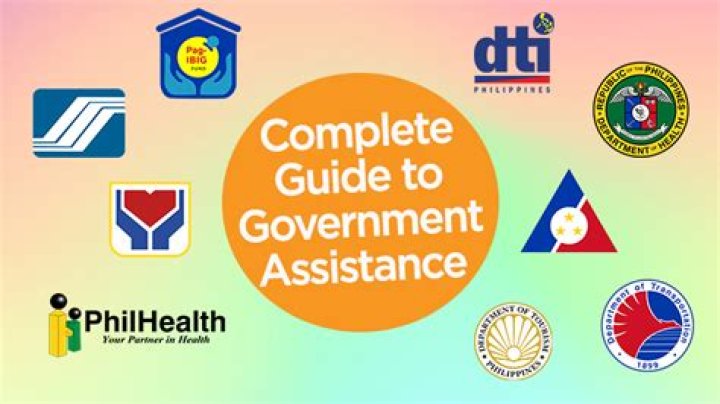 What is government assistance income?
