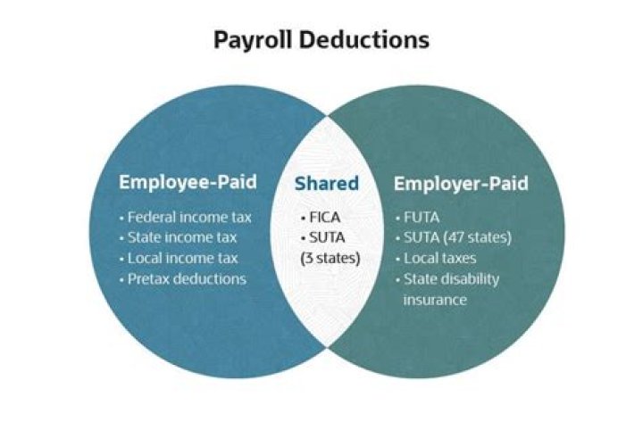What is included in payroll tax filings?
