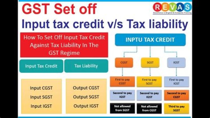 What is input tax and output tax?