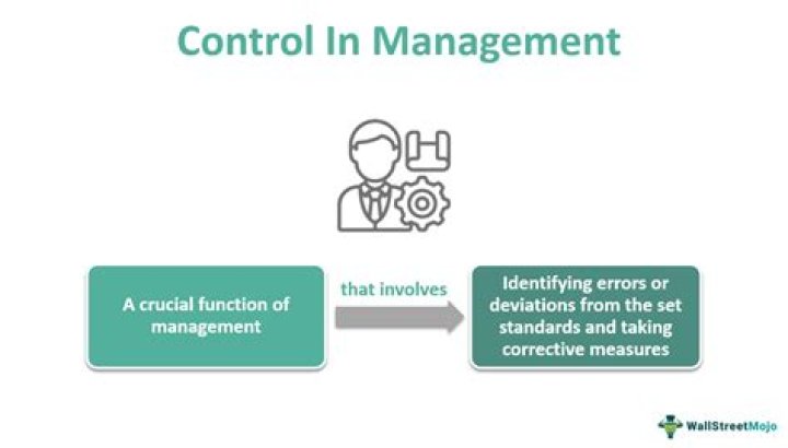 What is management control in business?