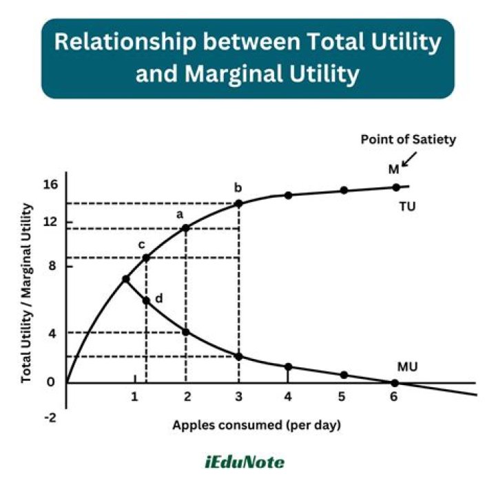 What is marginal utility of consumption?