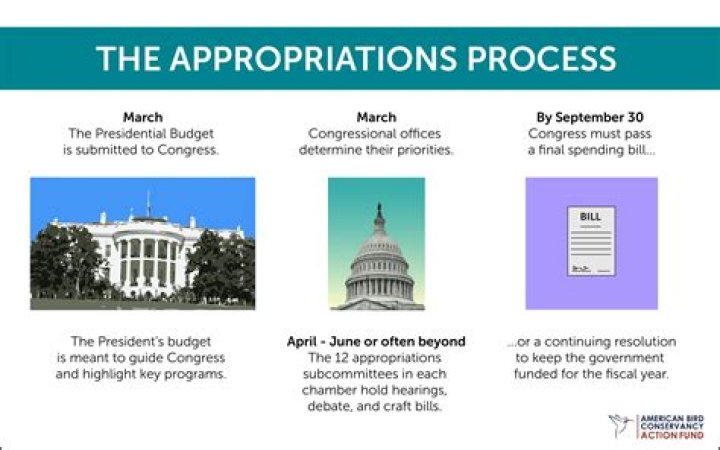 What is meant by appropriation in banking?