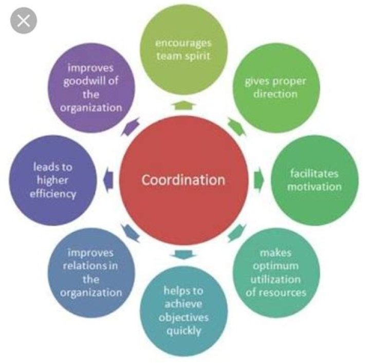 What is meant by co ordination in management?