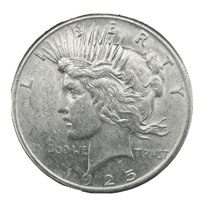 What is meant by idle money?