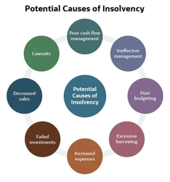 What is meant by insolvency?