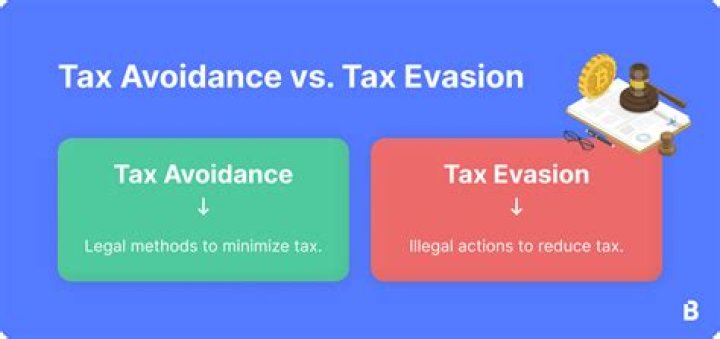 What is meant by tax avoidance and tax evasion?