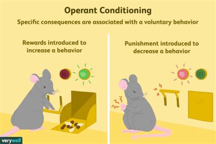 What is operant conditioning in organizational Behaviour?