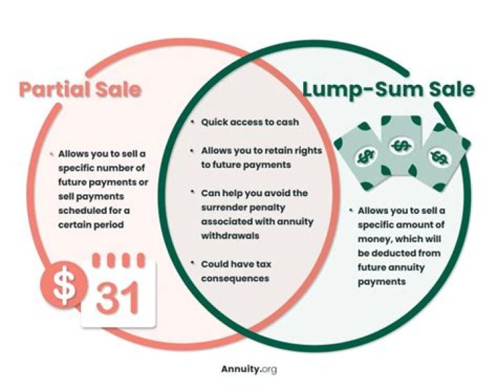 What is partial lump-sum option?
