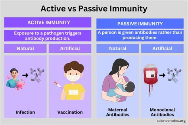 What is passive active loss?