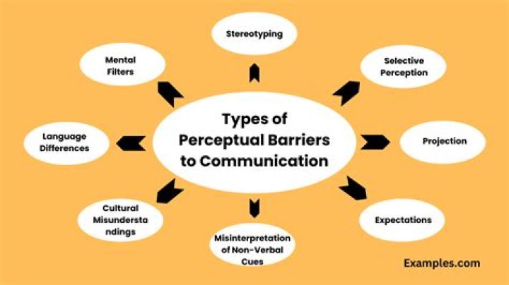 What is perceptual barriers in communication example?