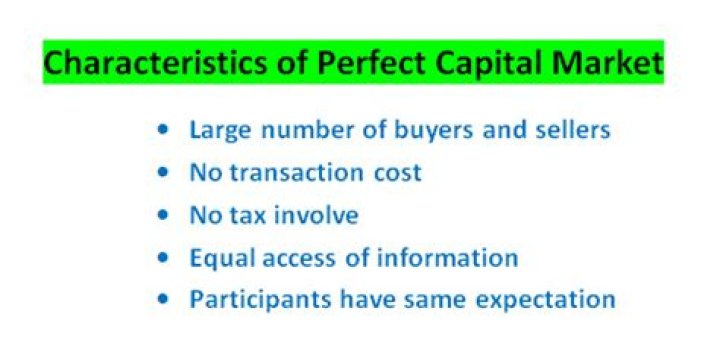 What is perfect capital market?